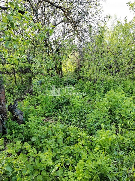 Дом, 71 кв. м, г. Выкса, Ремизова пер Дом, 71 кв. м, г. Выкса, Ремизова пер
